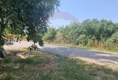 Vanzare Teren 1,300mp Balotesti / Strada Tarina Veche/Rezidential - 4