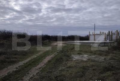 Teren de 10925 mp, în Sânmartin - 3