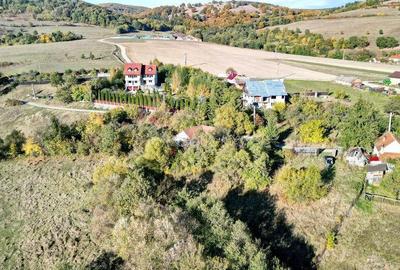 Teren Intravilan - 4