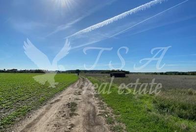 Teren Intravilan 825mp Cu dubla deschidere si Drum de servitute, Dascalu  Ilfov - 11