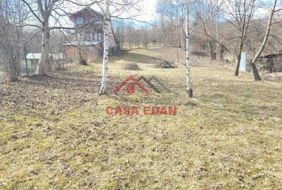 Casă cu Teren 3676 Mp în Poiana - 4