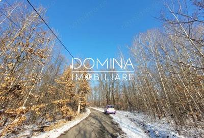 Teren de 1597 mp, în Scoarța - 1