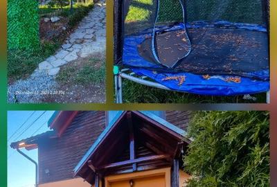 Cabana La Breazu Trambulina & Biliard | 3 bai - 2 dormitoare - 13