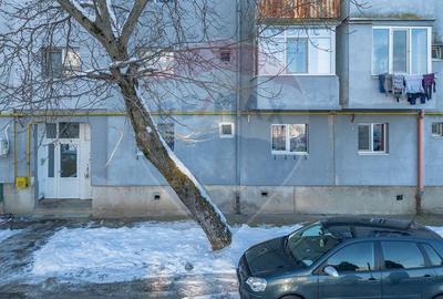 De vânzare apartament 3 camere – Buziaș | Parter | Comision 0% - 11