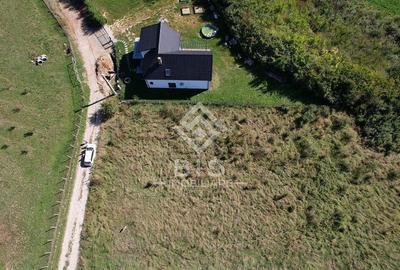 Teren Intravilan - Viisoara - 11