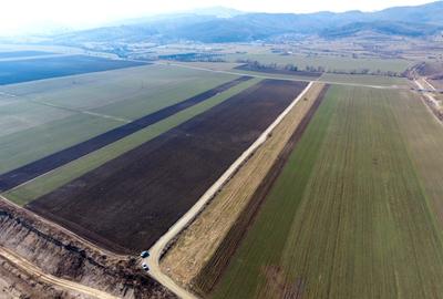 Teren agricol extravilan de 19239 mp, în Vulcan - 6