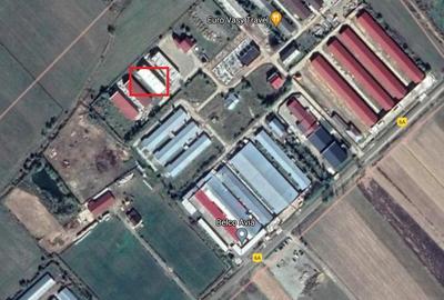 Hala industriala productie-depozitare - 4