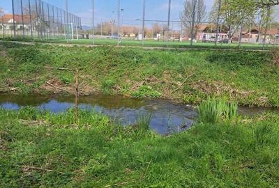 Teren de 7526 mp, în Băcia - 2