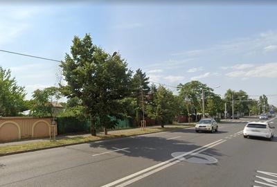 Teren intravilan CU- 1096 mp deschidere 28 m la bulevard, Doi Cocosi - 3