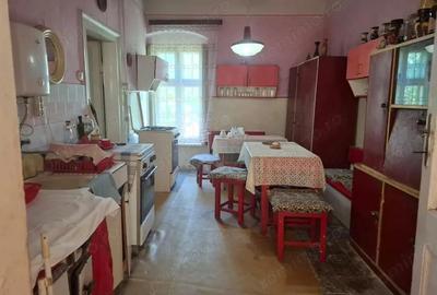 Casa spa?ioasa cu spa?iu comercial pe col? in Nadlac - 1