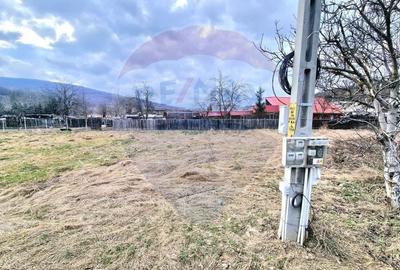 Teren Construcții intravilan de 2286 mp, în Vest - 6