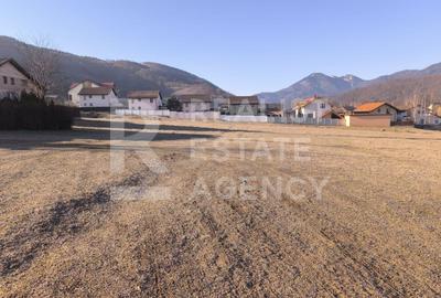 Teren de vânzare în Săcele, zona Baciu - 650m2 - 1