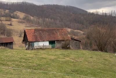 Casă cu 2 camere în Anghelești - 2
