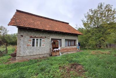 Casa de Vanzare Baiculesti Arges - 4