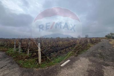 Teren Construcții intravilan de 2727 mp, în Cârligele - 3