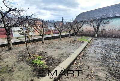 Spațiu comercial, de 250 mp, în Șmig - 5