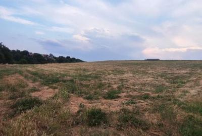 Spațiu comercial, în Central - 2