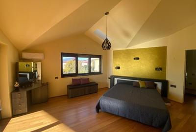 Proprietar - Casă deosebită de vanzare/închiriere Dumbrăvița, jud Timis - 8