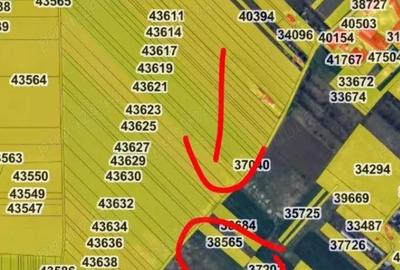 Teren de 2500 mp, în Vest - 1