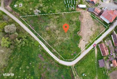 Spațiu comercial, în Criș - 3