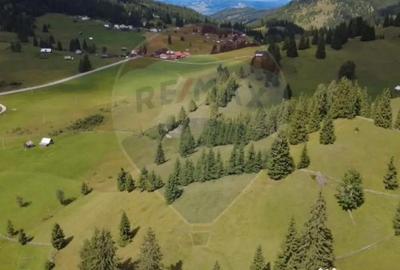 Teren de 14318 mp, în Paltin - 7