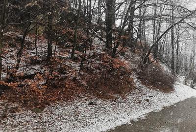 Teren intravilan situat in Busteni - 2