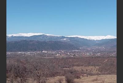 House for sale in Câmpulung Muscel, Argeș - 2