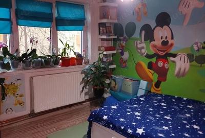 Apartament cu 2 camere decomandat în Lăpuș - 2