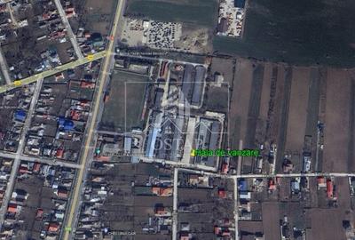 Nicolae Balcescu-hala 1.100 mp-productie sau depozitare-teren 3.084 mp-acces TIR - 3