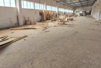 Teren Construcții intravilan de 28 mp, în Potlogi - 5