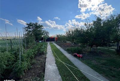 Casă cu 4 camere cu Teren 684 Mp în Dumești - 15