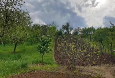 Casă cu 3 camere cu Teren 5000 Mp în Mozăceni - 4