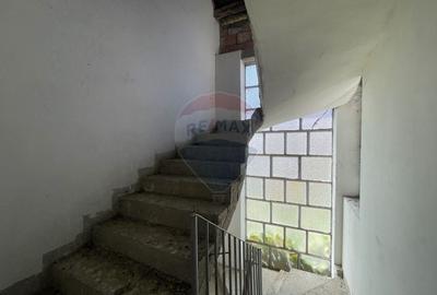 Casa spatioasa in Elisabetin - 7