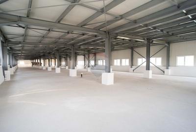 Spatiu de Birouri / Productie/ Sala Fitness | de 1.112 mp - 3