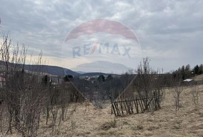 Teren Construcții intravilan de 2307 mp, în Sălicea - 17
