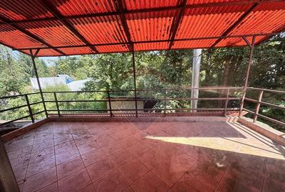 Casa cu teren generos refugiul perfect in Paltinoasa... - 2