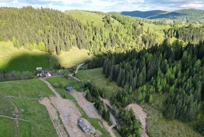 Teren Construcții intravilan de 1000 mp, în Băișoara - 1