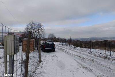 Teren de 11000 mp, în Tomești - 4