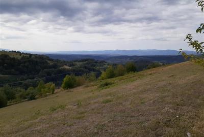 RECO casa Rosia - 7