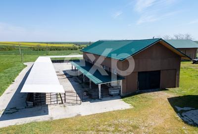 Teren Construcții intravilan de 105000 mp, în Crânguri - 19