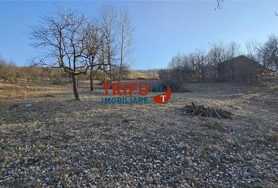 Teren intravilan de vanzare in Ampoita 1365 mp - 1