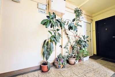 Apartament cu 2 camere nedecomandat în Calea Dumbrăvii - 11