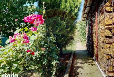 Casă cu 6 camere cu Teren 638 Mp în Pădureni - 5