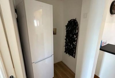 Apartament cu 2 camere nedecomandat, mobilat în P-ța Romană - 6