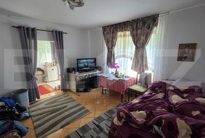 Casa 80 mp utili, cu teren de 350 m - zona Sens, potential investitional urias - 7