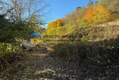 Teren intravilan 1543 mp - zona Darmanesti Teren intravilan 1543 mp - zona Darmanesti - 2