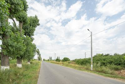Teren de 30.000 mp în Cernica – pentru Dezvoltare Rezidențială sau Industriala - 18