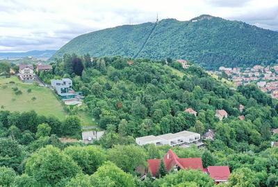 Teren Intravilan - Vedere Panoramica - 13