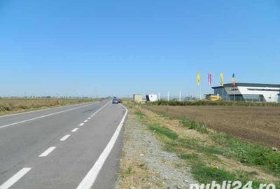 Teren de 30000 mp, în Dragalina - 2