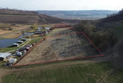 Teren de 7000 mp, în Hoghilag - 1